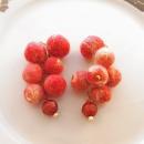 フェルトボールピアス(レッド)