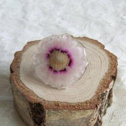 ローダンセのリング