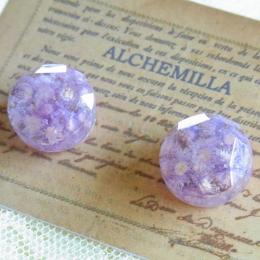 ラベンダーカラーのドライフラワーピアス